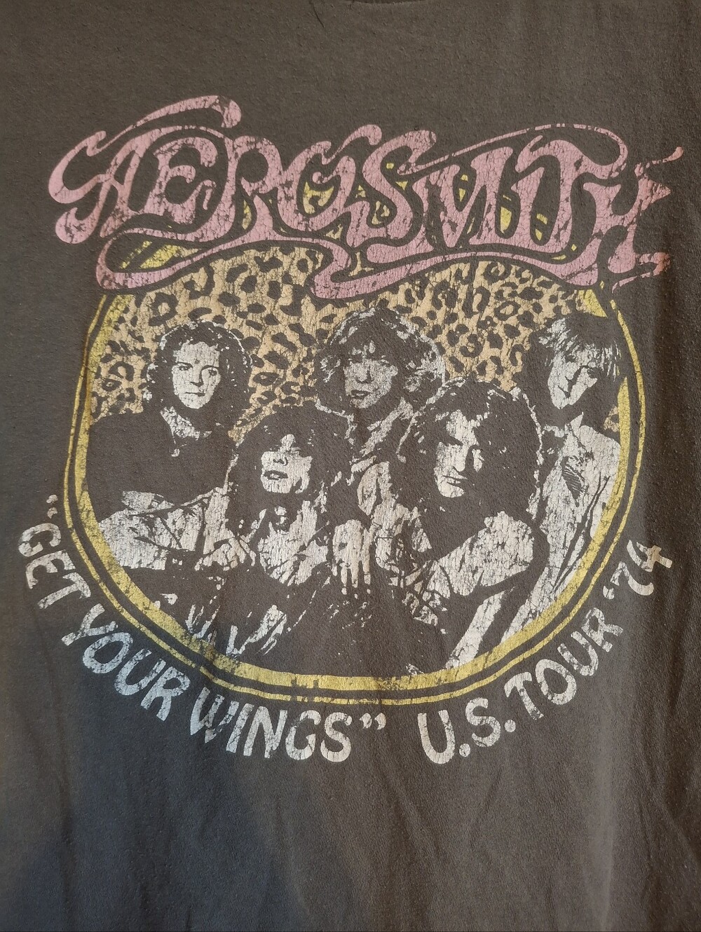 Aerosmith Crop Top Tee